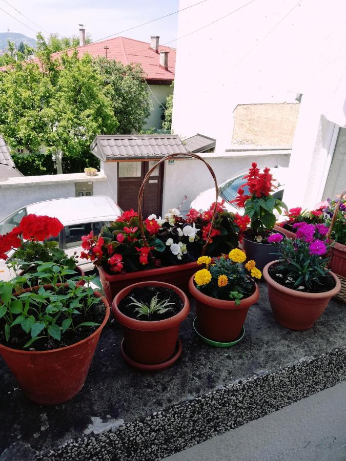 סראייבו Apartman Ohren מראה חיצוני תמונה
