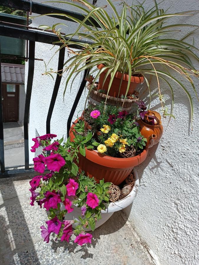 סראייבו Apartman Ohren מראה חיצוני תמונה